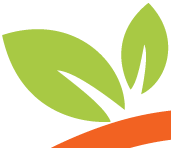 Orange Art Factory Events