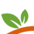 Orange Art Factory Events