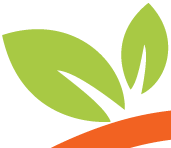 Orange Art Factory Events