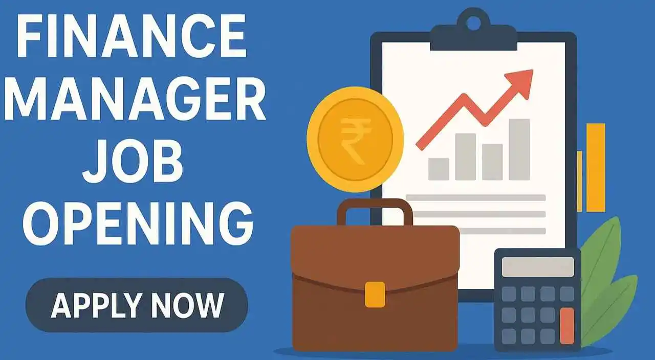 Finance Manager job